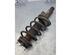 Suspension Strut FORD TRANSIT CONNECT (P65_, P70_, P80_)