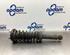 Suspension Strut JAGUAR S-TYPE (X200)