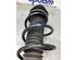 Suspension Strut SUZUKI SX4 S-CROSS (JY)