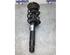 Suspension Strut BMW 3 (F30, F80)