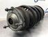 Suspension Strut SAAB 9-5 Estate (YS3E)