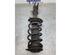 Suspension Strut RENAULT KANGOO / GRAND KANGOO (KW0/1_)