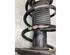 Suspension Strut VW TIGUAN (AD1, AX1), VW TIGUAN ALLSPACE (BW2)