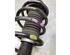 Suspension Strut CHEVROLET AVEO / KALOS Saloon (T250, T255)