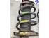 Suspension Strut FORD C-MAX (DM2)