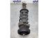 Suspension Strut RENAULT TRAFIC III Van (FG_)