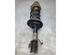 Suspension Strut DACIA DOKKER MPV (KE_), DACIA LODGY (JS_)