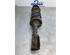 Suspension Strut DAIHATSU TERIOS (J2_)