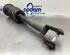 Suspension Strut JAGUAR S-TYPE (X200)