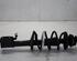 Suspension Strut DACIA DUSTER (HS_), DACIA LOGAN MCV (KS_)