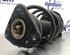 Suspension Strut FORD FOCUS C-MAX (DM2), FORD C-MAX (DM2)