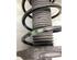 Suspension Strut RENAULT CLIO V (B7_)