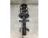 Suspension Strut RENAULT CLIO V (B7_)