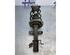 Suspension Strut RENAULT CLIO III Grandtour (KR0/1_)