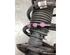 Suspension Strut MERCEDES-BENZ A-CLASS (W176)