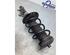 Suspension Strut RENAULT KADJAR (HA_, HL_)