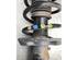 Suspension Strut SKODA SUPERB II Estate (3T5)