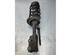 Suspension Strut FORD FIESTA VI (CB1, CCN)