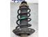 Suspension Strut HONDA INSIGHT (ZE_)