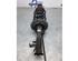 Suspension Strut HONDA INSIGHT (ZE_)