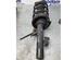 Suspension Strut FORD C-MAX (DM2)