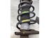 Suspension Strut FORD C-MAX (DM2)