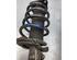 Suspension Strut FORD TOURNEO CONNECT / GRAND TOURNEO CONNECT V408 MPV