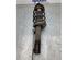 Suspension Strut VW TOURAN (1T1, 1T2)