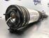 Suspension Strut MERCEDES-BENZ S-CLASS (W220)