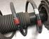 Suspension Strut KIA RIO III (UB)