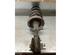 Suspension Strut OPEL MOVANO B Bus (X62)