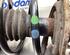 Suspension Strut RENAULT KANGOO / GRAND KANGOO (KW0/1_)