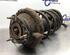 Suspension Strut FORD FOCUS Saloon (DFW)