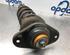 Suspension Strut MINI MINI (R56)