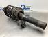 Suspension Strut FORD MONDEO III (B5Y)