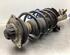 Suspension Strut MERCEDES-BENZ A-CLASS (W169)