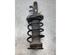 Suspension Strut FORD FOCUS III Turnier