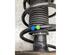 Suspension Strut VW GOLF SPORTSVAN (AM1, AN1)