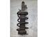 Suspension Strut FORD FOCUS II Turnier (DA_, FFS, DS)