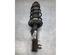 Suspension Strut FIAT GRANDE PUNTO (199_), FIAT PUNTO EVO (199_), FIAT PUNTO (199_)