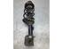 Suspension Strut SUZUKI ALTO (GF)