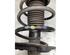 Suspension Strut RENAULT ESPACE V (JR_)