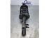 Suspension Strut FORD C-MAX II (DXA/CB7, DXA/CEU)