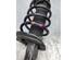 Suspension Strut FORD C-MAX II (DXA/CB7, DXA/CEU)