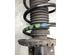 
Federbein links vorne Skoda Fabia III Kombi NJ XXXXX P17906816
