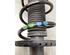 Suspension Strut VW UP! (121, 122, BL1, BL2, BL3, 123), VW LOAD UP (121, 122, BL1, BL2)