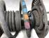 Suspension Strut VW GOLF PLUS (5M1, 521), VW GOLF PLUS Van (521)