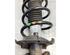 Suspension Strut FORD FIESTA VI (CB1, CCN)