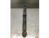 Suspension Strut VW CADDY IV Box Body/MPV (SAA, SAH), VW CADDY ALLTRACK Box Body/MPV (SAA)