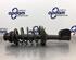 Suspension Strut RENAULT CLIO II (BB_, CB_)